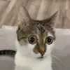 sam_911909