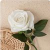 nourh818