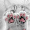 Sm_ALshehri