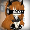 _koshe4ka_kitty