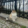 beyaz_kalp04