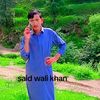 saidwali.khan.swat