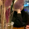 noov.17