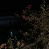 jxswhl