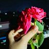 arafatrahman4491