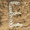 esma.bekir7