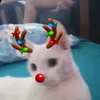 piluuov_