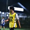 josua_pane