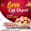 Bree Egg Depot