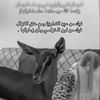 zyadalajmi