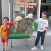 6565damla