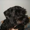 heike.tietz