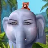 kvuinha