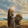 مملكة النور