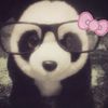 cvvcgy