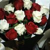 user5320455182031