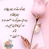 eaman.fatima3