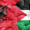 dini.pasha1