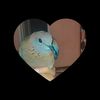 nourelden.mokhtar4