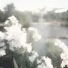 littlesquirrel_thecute