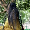 parez067