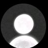 rexi708