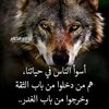 user9323285966106