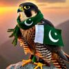 saleh.khan35