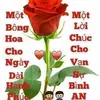 pham.th.tuyt6