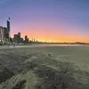 macedo_1204