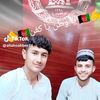 gull.bhi8