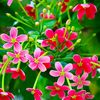 .md.rakib582