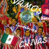 mexicanlovervamos