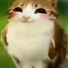 mai_xuanphu