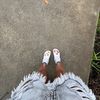 fav_poly2