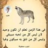 user3350129010714