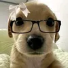heloo09760
