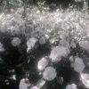 iwfk_sn