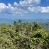 kilroy_hikes