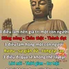user4835612005122