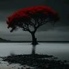 maham__346