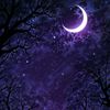 sohail.darya