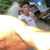 rejie.acc