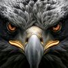 brice_telecom_75