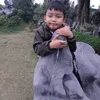 taphoaonline52