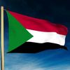 hamoody6965