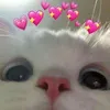 aseel_smith09