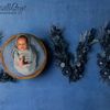 priscillasteynphotograph