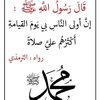 abdulbasit.kedir7