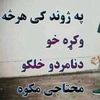 user4613545234924